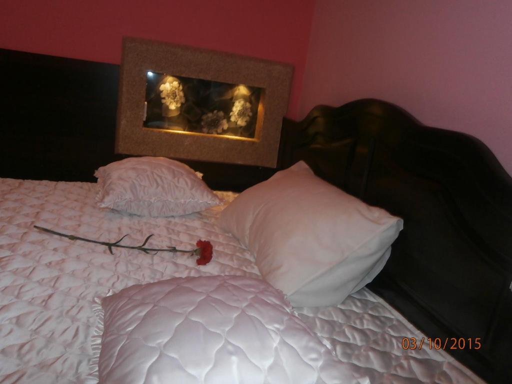 Hotel Vila Mitic Luxx Spa Centar 레스코바츠 외부 사진